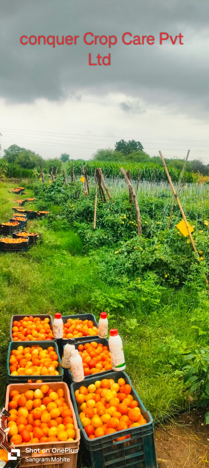 Farmer Plot Visit